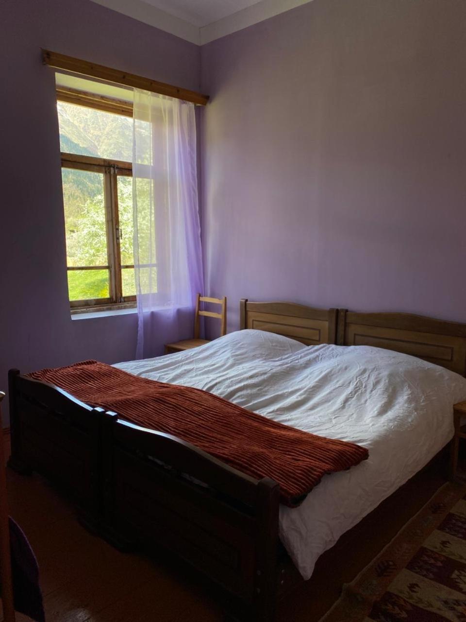 Lia Jamdeliani Guest House Bagvdanari 외부 사진