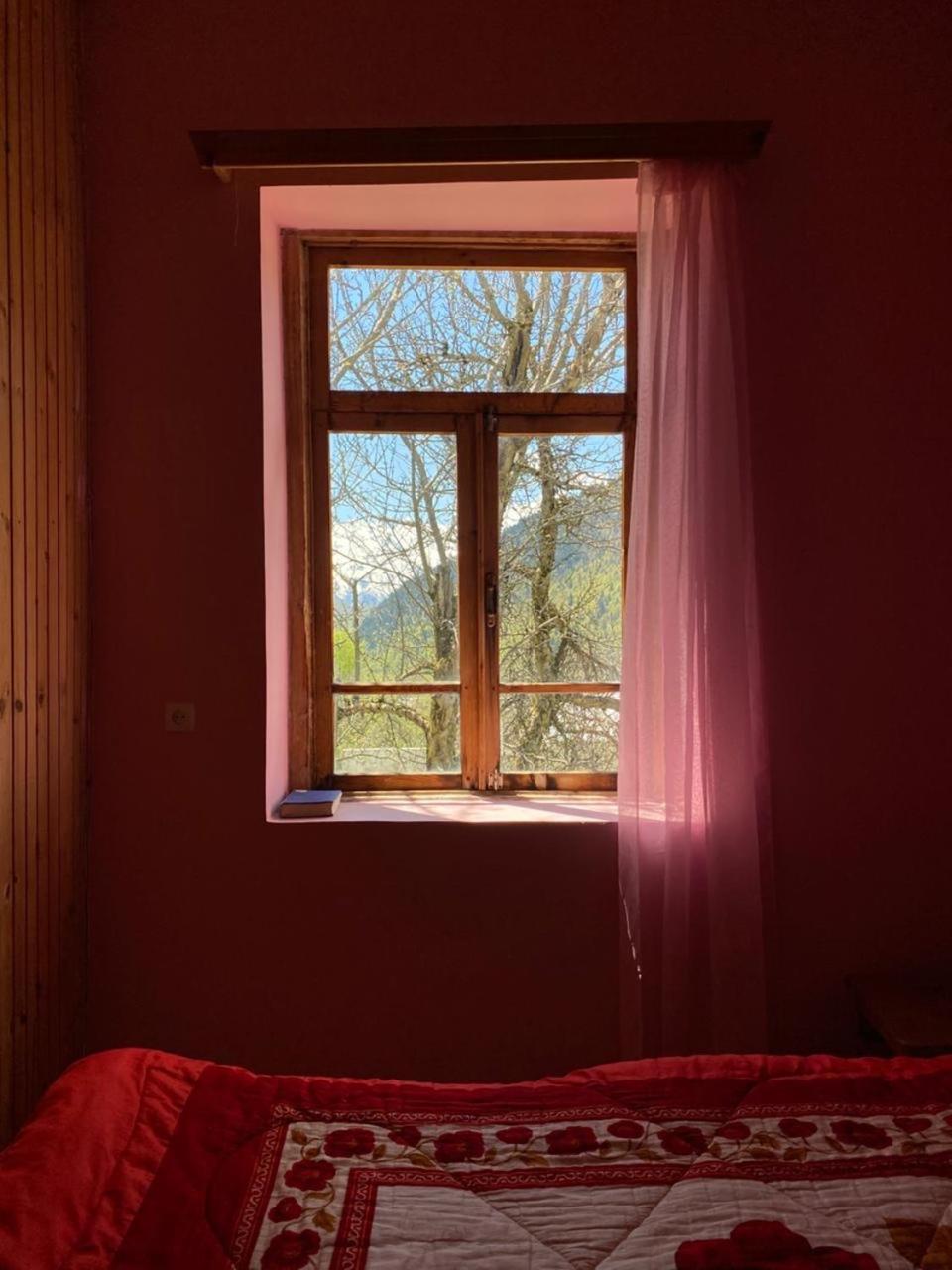 Lia Jamdeliani Guest House Bagvdanari 객실 사진