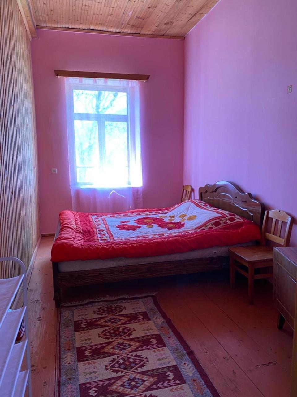 Lia Jamdeliani Guest House Bagvdanari 외부 사진