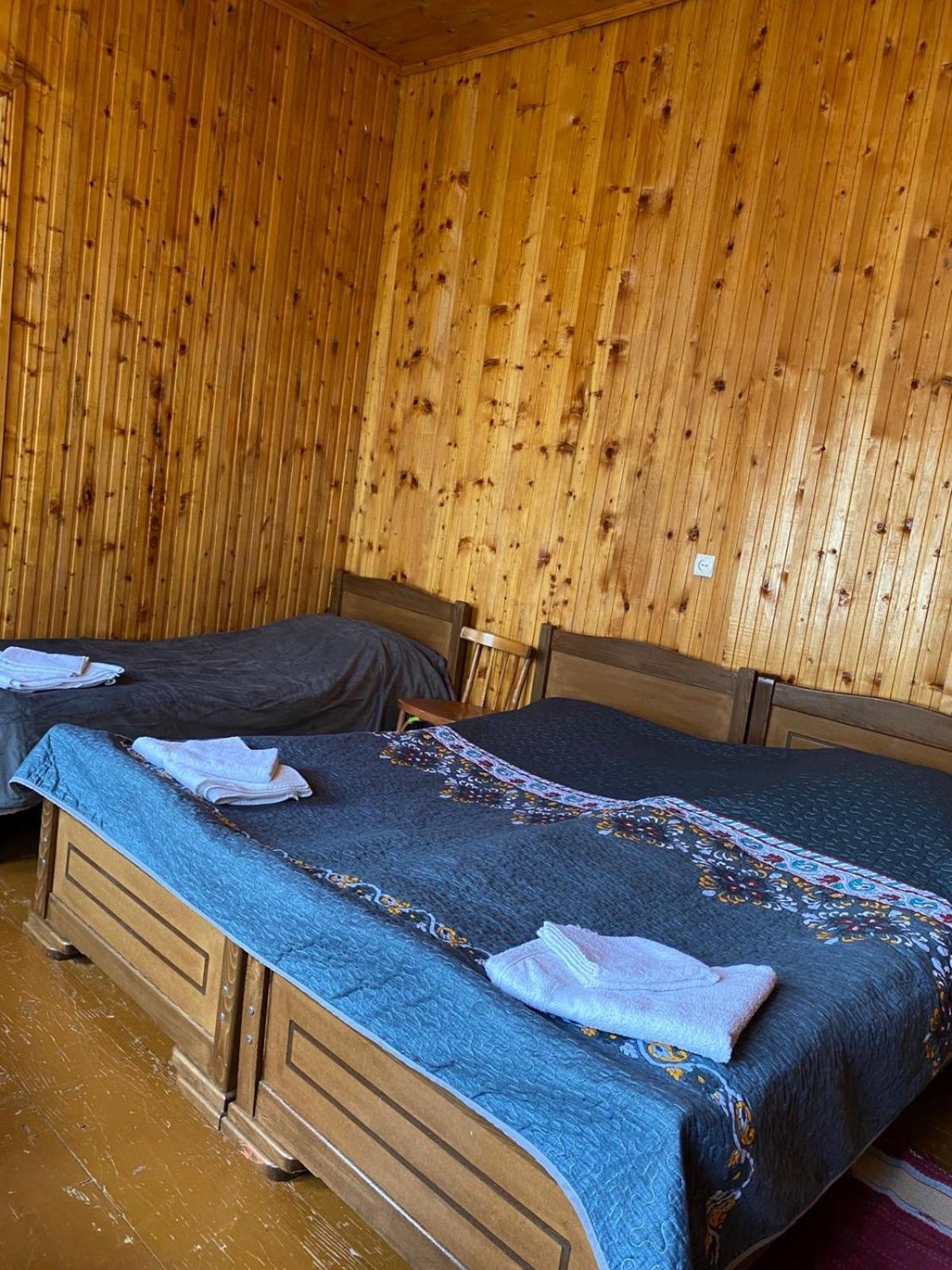 Lia Jamdeliani Guest House Bagvdanari 외부 사진