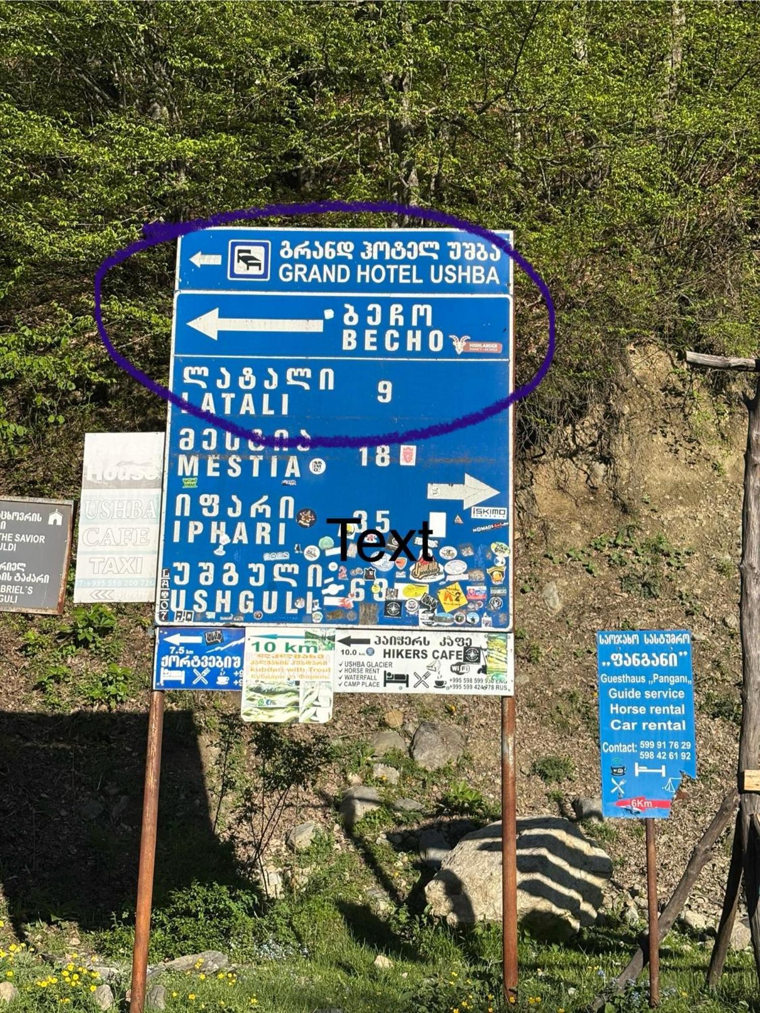 Lia Jamdeliani Guest House Bagvdanari 외부 사진